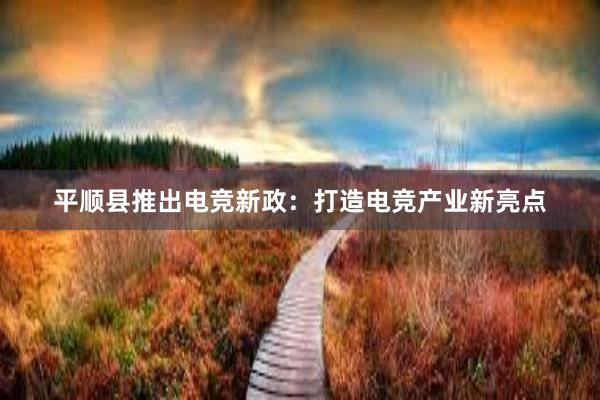 平顺县推出电竞新政：打造电竞产业新亮点